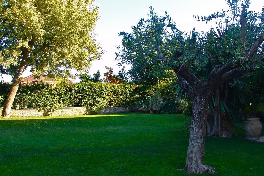 B&B La Casa Di Gio Casal Palocco Exteriér fotografie